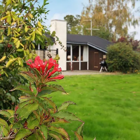 4 Person In Frorup-by Traum Frorup