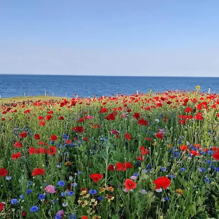 Σπίτι διακοπών 4 Person In Frorup-by Traum