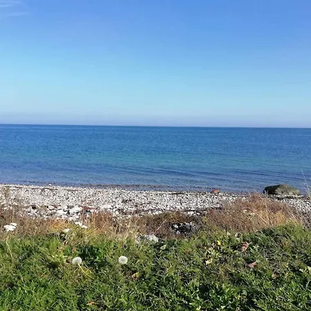 4 Person In Frorup-by Traum * Frorup