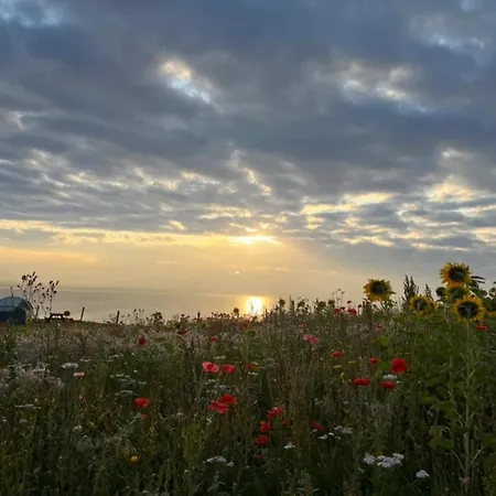 4 Person In Frorup-by Traum Σπίτι διακοπών *