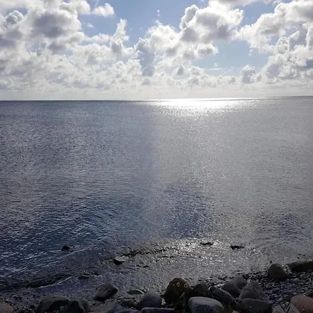 4 Person In Frorup-by Traum *