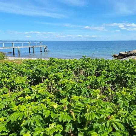 4 Person In Frorup-by Traum Frorup